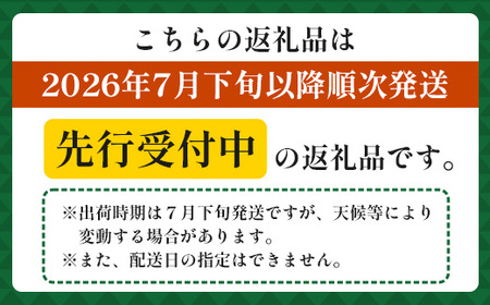 【先行受付】パイナップル/ボゴール種 (約800g×6玉) ≪2026年7月下旬以降順次発送≫ DS-1 ｜パイン パイナップル パインアップル フルーツ ボゴールパイン スナックパイン 産地直送 送料無料 鹿児島県 南大隅町 株式会社デラセーラ