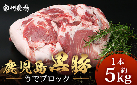 【南大隅町限定】かごしま黒豚 うでブロック（約5.0kg） NS-4 | 肉 豚肉 ぶた 豚 ブタ 黒豚 かごしま黒豚 うで ブロック 新鮮 産地直送 限定 鹿児島県 南大隅町 南州農場 11,400円