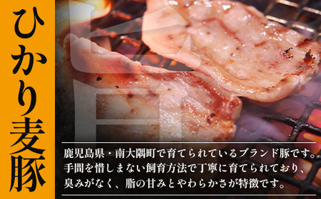 【定期便全3回】ひかり麦豚 わんぱく定期便 ≪月替わりで焼肉・ハンバーグ・餃子をお届け！≫ 冷凍 HM-10 | 肉 お肉 にく 豚肉 焼き肉 ロース肉 肩ロース バラ肉 ハンバーグ ギョウザ ぎょうざ 真空冷凍 産地直送 小分け パック 手作り 鹿児島県 南大隅町 ひかり麦豚直売所