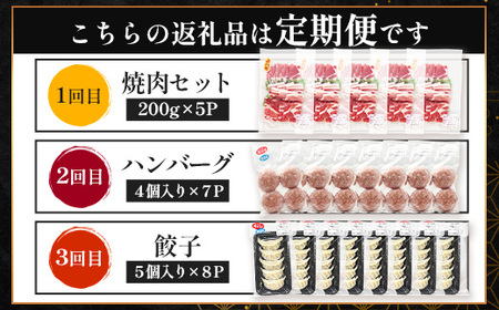 【定期便全3回】ひかり麦豚 わんぱく定期便 ≪月替わりで焼肉・ハンバーグ・餃子をお届け！≫ 冷凍 HM-10 | 肉 お肉 にく 豚肉 焼き肉 ロース肉 肩ロース バラ肉 ハンバーグ ギョウザ ぎょうざ 真空冷凍 産地直送 小分け パック 手作り 鹿児島県 南大隅町 ひかり麦豚直売所