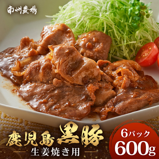 鹿児島県産 黒豚生姜焼きセット（100g×6パック）味付き肉 冷凍 NS-22 | 鹿児島 黒豚 かごしま黒豚 お肉 肉 豚肉 しょうが焼き 焼くだけ 味付き おかず お弁当 加工肉 真空パック 鹿児島県 南大隅町 南州農場