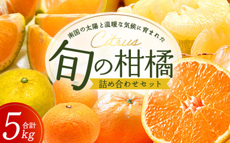 【数量限定】おたのしみ！旬の柑橘詰め合わせセット(４種約５kg) NK-4 ≪2025年12月下旬より準備が出来次第発送≫｜果物 柑橘 大将季 ぽんかん スイートスプリング 津之輝 麗江 サワーポメロ 南大隅町 産地直送 詰め合わせ 5kg 国産 数量限定 