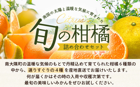【数量限定】おたのしみ！旬の柑橘詰め合わせセット(４種約５kg) NK-4 ≪2025年12月下旬より準備が出来次第発送≫｜果物 柑橘 大将季 ぽんかん スイートスプリング 津之輝 麗江 サワーポメロ 南大隅町 産地直送 詰め合わせ 5kg 国産 数量限定 