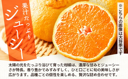 【数量限定】おたのしみ！旬の柑橘詰め合わせセット(４種約５kg) NK-4 ≪2025年12月下旬より準備が出来次第発送≫｜果物 柑橘 大将季 ぽんかん スイートスプリング 津之輝 麗江 サワーポメロ 南大隅町 産地直送 詰め合わせ 5kg 国産 数量限定 