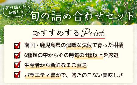 【数量限定】おたのしみ！旬の柑橘詰め合わせセット(４種約５kg) NK-4 ≪2025年12月下旬より準備が出来次第発送≫｜果物 柑橘 大将季 ぽんかん スイートスプリング 津之輝 麗江 サワーポメロ 南大隅町 産地直送 詰め合わせ 5kg 国産 数量限定 