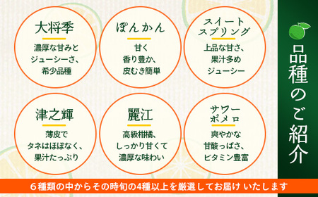 【数量限定】おたのしみ！旬の柑橘詰め合わせセット(４種約５kg) NK-4 ≪2025年12月下旬より準備が出来次第発送≫｜果物 柑橘 大将季 ぽんかん スイートスプリング 津之輝 麗江 サワーポメロ 南大隅町 産地直送 詰め合わせ 5kg 国産 数量限定 