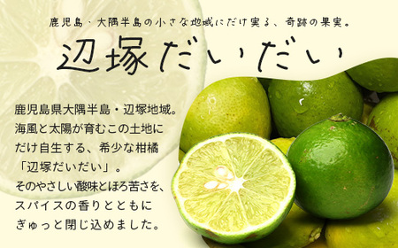 希少な辺塚だいだいで作ったクラフトコーラ ででコーラ（200ml×1本） PU-1 | クラフトコーラ コーラ 手づくり でで 辺塚だいだい へつか 柑橘 希少 スパイス 自然 南大隅町 鹿児島県