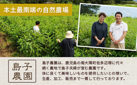 【HAPPY 福袋】紫菊芋たっぷり堪能３種セット SK-16-fb｜ コーヒー 菊芋 紫菊芋 コーヒー パウダー 菊芋せんべ ノンカフェイン 野菜茶 きくいも お茶 焙煎 ギフト グルメ 鹿児島県 南大隅町 島子農園 福袋