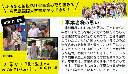 【福袋】ねじめびわ茶うれしい満喫セット（５種）化粧箱入 TO-20-FB| ねじめ びわ茶 ボトル缶 国産 大容量 トルマリン石 焙煎 健康茶 お茶 煮だし 飲みやすい 香ばしい おいしい びわの葉 福袋 セット 飲み比べ 鹿児島県 南大隅町 十津川農場