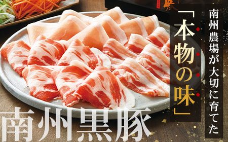 【福袋】黒豚・黒牛食べ比べ4種セット NS-31-fb ❘ かごしま黒豚 南州黒牛 ロース スライス しゃぶしゃぶ 豚バラ 豚ロース 食べ比べ 赤身 ポン酢 南大隅町 鹿児島県 南州農場