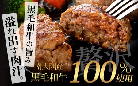 鹿児島県産 黒毛和牛 ≪生≫ 和食料理人の手作り ハンバーグ （100g×6個）GN-3｜鹿児島県 南大隅町 ハンバーグ 牛肉 手作り 銀シャリ中はら