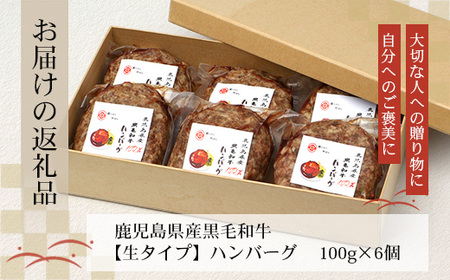 鹿児島県産 黒毛和牛 ≪生≫ 和食料理人の手作り ハンバーグ （100g×6個）GN-3｜鹿児島県 南大隅町 ハンバーグ 牛肉 手作り 銀シャリ中はら