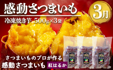 【定期便・年4回】農家の感動シリーズA(約9.1kg) FR-1｜冷凍焼き芋 ゴールドラッシュ とうもろこし 塩茹で 落花生 おおまさり ピーナッツ 芋 さつまいも 紅はるか 野菜定期便 旬 産地直送 サラダ 南大隅町