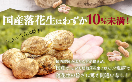 【先行予約 2026年9月下旬～順次発送】鹿児島県産 塩茹でジャンボ落花生（おおまさり） 300g×3パック 冷凍 FR-4 | 落花生 らっかせい ラッカセイ ピーナッツ 国産 最高級品種 おおまさり 大粒 おやつ おつまみ 鹿児島県 南大隅町 株式会社フォレスト