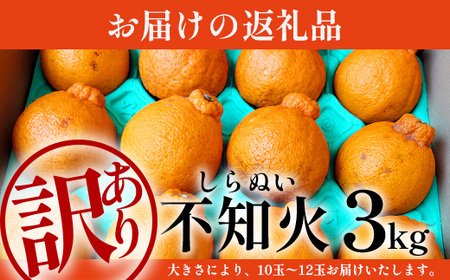 【数量限定・訳あり】しらぬい 約3kg(10～12玉) MS-1｜数量限定 柑橘 みかん ミカン 蜜柑 果物 生果 旬 フルーツ くだもの 国産 産地直送 家庭用 佐多岬