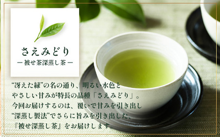 【先行予約】【2026年摘みたて!】ナナ茶 新茶贅沢2種セット 被せ深蒸し茶 さえみどり(80g×1P) & 被せ茶 あさのか(80g×1P)RS-11|お茶 茶 茶葉 お茶の葉 被せ茶 玉露仕立て 緑茶 高級緑茶 高級 日本茶 鹿児島茶 国産 おしゃれ ブレンド茶 シングルオリジン 被覆栽培 鹿児島県 南大隅町