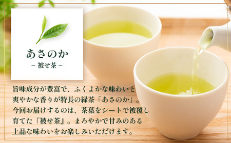 【先行予約】【2026年摘みたて!】ナナ茶 新茶贅沢2種セット 被せ深蒸し茶 さえみどり(80g×1P) & 被せ茶 あさのか(80g×1P)RS-11|お茶 茶 茶葉 お茶の葉 被せ茶 玉露仕立て 緑茶 高級緑茶 高級 日本茶 鹿児島茶 国産 おしゃれ ブレンド茶 シングルオリジン 被覆栽培 鹿児島県 南大隅町