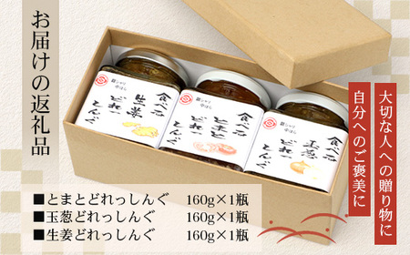 【先行予約・数量限定】日本料理人が作る 食べるドレッシング 3種類セット/ とまとドレッシング (160g×1瓶)玉葱ドレッシング (160g×1瓶)生姜ドレッシング (160g×1瓶) GN-16|鹿児島県 南大隅町 野菜 トマト 玉ねぎ しょうが ショウガ 手づくり サラダ ソース 新鮮 旬 銀シャリ中はら