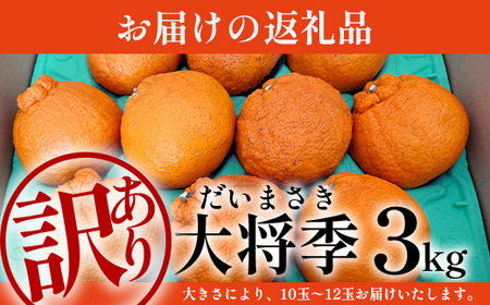 【数量限定】【今が旬！訳あり！】大将季　約3㎏（10玉～12玉） MS-2｜数量限定 柑橘 みかん ミカン 蜜柑 果物 生果 旬 フルーツ くだもの 国産 産地直送 家庭用 佐多岬