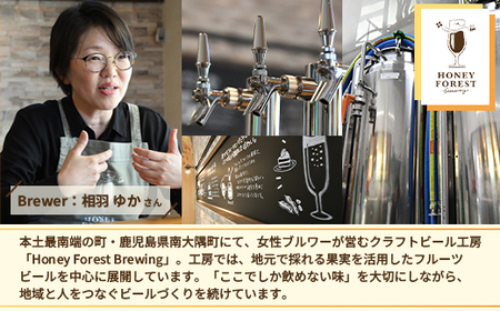 【母の日ギフト】【期間限定】うれしい!SunSunALE 飲み比べ6種6本セット HF-5-mo|母の日 クラフトビール ビール 酒 柑橘 トマト パイナップル 希少 限定 手作り はちみつ 人気 詰め合わせ ギフト 香り 呑み 晩酌 贈り物 330ml 鹿児島県 南大隅町 Honey Forest Brewing