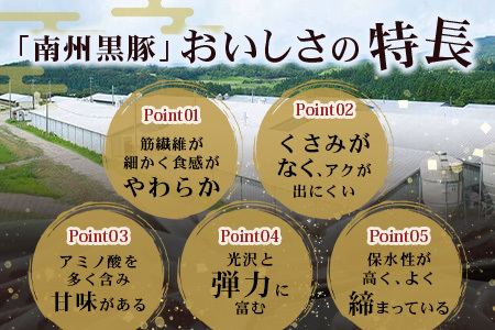 鹿児島県産 黒豚バラエティセットA 約600g (黒豚焼豚200g×1・黒豚ベーコン150g×1・黒豚ボロニア250g×1) NS-510 ｜ 肉 お肉 豚肉 豚 にく ぶた かごしま黒豚 ベーコン ソーセージ チャーハン ポトフ 野菜炒め 冷蔵 小分け 鹿児島県 南大隅町 南州農場