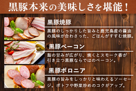 鹿児島県産 黒豚バラエティセットA 約600g (黒豚焼豚200g×1・黒豚ベーコン150g×1・黒豚ボロニア250g×1) NS-510 ｜ 肉 お肉 豚肉 豚 にく ぶた かごしま黒豚 ベーコン ソーセージ チャーハン ポトフ 野菜炒め 冷蔵 小分け 鹿児島県 南大隅町 南州農場