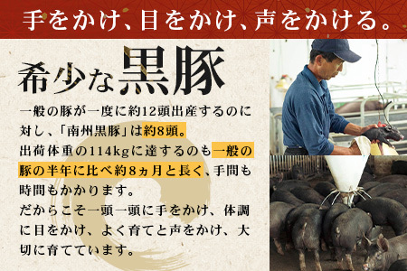 鹿児島県産 黒豚ギフトB 8種セット 約1.48kg NS-513 ｜ 肉 お肉 豚肉 豚 にく ぶた かごしま黒豚 焼豚 モモハム パストラミ ベーコン 厚切り ハム ウィンナー ボロニア 生ハム ウィンナー 冷蔵 詰め合わせ 贈り物 鹿児島県 南大隅町 南州農場