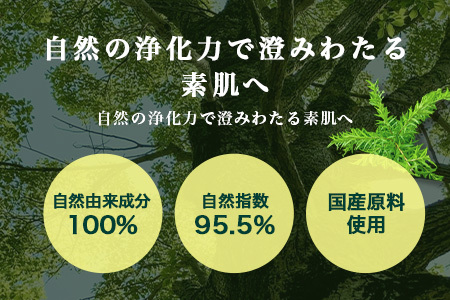【100％自然由来】ティーツリー化粧水（150ml×1本） BF-522 │美容 化粧品 化粧水 スキンケア 肌ケア ボディケア 頭皮 ローション ティーツリー アーチチョーク レモングラス 基礎化粧品 化粧下地 整肌 乾燥肌 肌荒れ 保湿 潤い うるおい ハリ 弾力 hフケ かゆみ ボタニカノン BOTANICANON ケミカルフリー 鹿児島県 南大隅町 ボタニカルファクトリー 