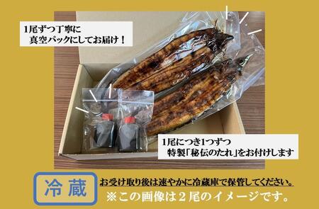 老舗旅館が守り続ける、秘伝のタレでいただく大隅産ウナギ（3尾入）【鰻 うなぎ ウナギ 国産 蒲焼 たれ 老舗 AH7402 南大隅町】