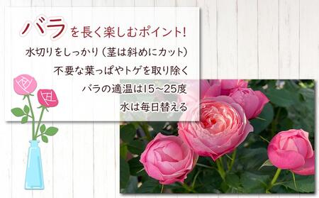 【ご自宅用・満足20本】バラ農家直送！バラ花束