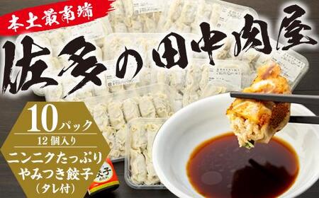 佐多の田中肉屋ニンニクたっぷりやみつき餃子 120個【 餃子 手作り餃子 ぎょうざ ぎょーざ 鹿児島 惣菜 食品 冷凍 国産 肉 豚肉 タレ付き お取り寄せ グルメ 人気 おすすめ 手作り AN7402 南大隅町】