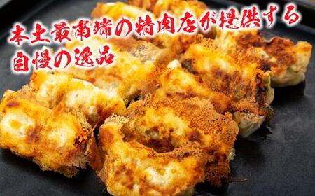 佐多の田中肉屋ニンニクたっぷりやみつき餃子 120個【 餃子 手作り餃子 ぎょうざ ぎょーざ 鹿児島 惣菜 食品 冷凍 国産 肉 豚肉 タレ付き お取り寄せ グルメ 人気 おすすめ 手作り AN7402 南大隅町】