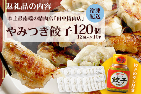 《リピーター続出！》佐多の田中肉屋 ニンニクたっぷりやみつき餃子 120個（12個入り×10パック） 餃子のタレ付き TA-402 | ぎょうざ 餃子 ギョウザ 豚肉 ひき肉 にんにく スタミナ餃子 焼くだけ 簡単 小分け 大容量 手作り お惣菜 おかず 冷凍 鹿児島県 南大隅町 田中精肉店