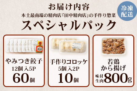 佐多の田中肉屋 スペシャルパック（餃子・コロッケ・味付唐揚げ）冷凍便 TA-405 | 国産 お惣菜 手作り 餃子 ギョーザ やみつき ニンニク から揚げ 若鶏唐揚げ 鶏肉 揚げるだけ コロッケ 大容量 おかず 弁当 おつまみ 保存料不使用 簡単調理 産地直送 鹿児島県 南大隅町 田中精肉店 