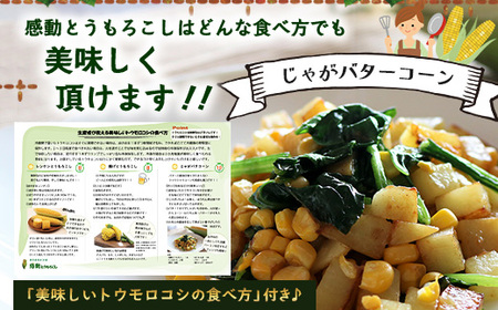 【数量限定】 【先行予約・2026年5月~】感動とうもろこし ( 約4kg / 10~13本 ) FR-521 |野菜 やさい とうもろこし ゴールドラッシュ トウモロコシ 新鮮 産地直送 先行予約 数量限定 4kg