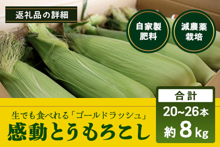 【数量限定】 【先行予約・2026年5月～】感動とうもろこし  ( 約8kg / 20～26本 ) FR-522｜野菜 やさい とうもろこし ゴールドラッシュ トウモロコシ 新鮮 産地直送 先行予約 数量限定 8kg 