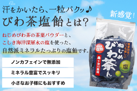 【鹿児島県産】ねじめびわ茶 飲み比べ セット + びわ茶塩飴付き(化粧箱入) TO-406|ねじめびわ茶 ノンカフェイン ティーバック ボトル缶 飴 国産 お茶 健康茶 ポリフェノール 無香料 無着色 さわやか 甘み 香ばしい おいしい びわの葉 トルマリン石焙煎 産地直送 鹿児島県 南大隅町 十津川農場