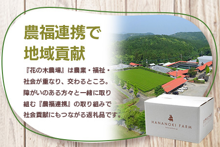 花の木農場【ハム詰め合わせセット】7種 計1,000g HK-501｜ハム ソーセージ 詰め合わせ セット ウインナー クラフトハム 国産 厳選 ノウフク 鹿児島県 南大隅町 第2花の木ファーム　