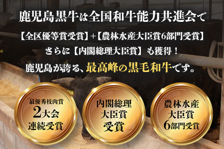 【鹿児島黒牛】サーロインステーキ 1kg JA-402 | 国産 国産牛 鹿児島県 牛肉 黒牛 黒毛和牛 和牛 サーロイン ステーキ 冷凍 南大隅町 JA鹿児島きもつき