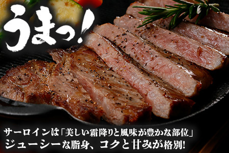 【鹿児島黒牛】サーロインステーキ 1kg JA-402 | 国産 国産牛 鹿児島県 牛肉 黒牛 黒毛和牛 和牛 サーロイン ステーキ 冷凍 南大隅町 JA鹿児島きもつき