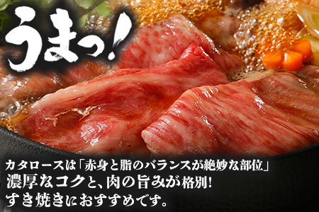 【鹿児島黒牛】カタロースすきやきセット（約900g）JA-501 | 国産 国産牛 鹿児島県 牛肉 黒牛 黒毛和牛 和牛 肩ロース スライス 赤身 すきやき 冷凍 南大隅町 JA鹿児島きもつき