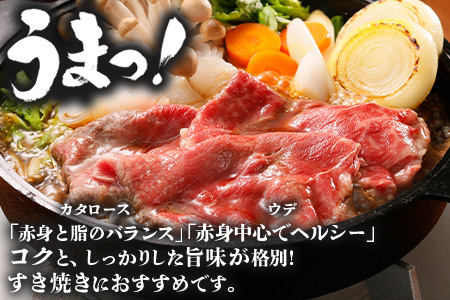 【鹿児島黒牛】すき焼きセット２種600g W7502 | 鹿児島 牛 うし カタロース ウデ 国産 九州産 牛肉 黒牛 黒毛和牛 和牛 すき焼き 冷凍 産地直送 絶品 ごちそう 贈り物