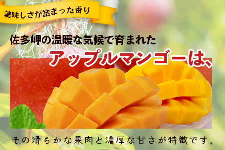 ≪先行予約・数量限定≫ ☆本土最南端☆佐多の果樹園で育てた 完熟アップルマンゴー 約1kg (2～3玉) 【2026年7月上旬以降順次発送】｜鹿児島県 南大隅 産地直送 旬 マンゴー フルーツ 果物 くだもの  ST-7407