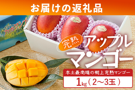 ≪先行予約・数量限定≫ ☆本土最南端☆佐多の果樹園で育てた 完熟アップルマンゴー 約1kg (2～3玉) 【2026年7月上旬以降順次発送】｜鹿児島県 南大隅 産地直送 旬 マンゴー フルーツ 果物 くだもの  ST-7407