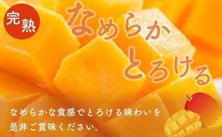 訳あり マンゴー 先行予約 佐多の果樹園で育てた 完熟アップルマンゴー 1kg (2～3玉) 家庭用 【 マンゴー マンゴー マンゴー マンゴー マンゴー 】