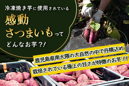 【冷凍焼芋】感動さつまいも 熟成紅はるか 500g×5パック FR-504 | サツマイモ 焼き芋 紅はるか べにはるか 熟成芋 長期熟成 冷凍 スイーツ お菓子 甘い お中元 お歳暮 ギフト プレゼント 保存料不使用 鹿児島県 南大隅町 株式会社フォレスト