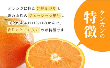 ≪2025年2月下旬以降発送≫ 先行予約 たんかん 10kg (サイズおまかせ) | 南大隅町産の特産品 たんかん 数量限定 たんかん フルーツ 柑橘 たんかん ご家庭用 たんかん