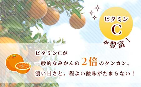 ≪2025年2月下旬以降発送≫ 先行予約 たんかん 10kg (サイズおまかせ) | 南大隅町産の特産品 たんかん 数量限定 たんかん フルーツ 柑橘 たんかん ご家庭用 たんかん