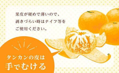 ≪2025年2月下旬以降発送≫ 先行予約 たんかん 10kg (サイズおまかせ) | 南大隅町産の特産品 たんかん 数量限定 たんかん フルーツ 柑橘 たんかん ご家庭用 たんかん