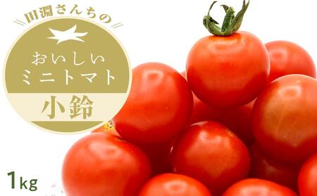 田淵さんちの美味しい ミニトマト 小鈴（1.0kg）| 野菜 トマト ミニ
